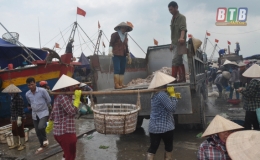 Thái Thụy: Tổng giá trị nuôi trồng, khai thác thủy sản ước đạt hơn 1.780 tỷ đồng