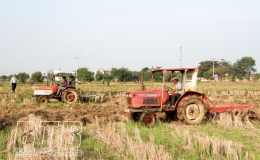 An Tràng: Tập trung cày lật đất, phơi ải
