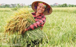 Bác Hồ với nông dân