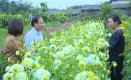 Bách Thuận tập trung sản xuất vụ hoa tết