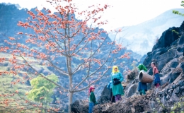 Đọc “Gió Thượng Phùng ” 