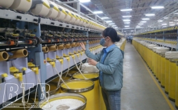 Đông Hưng: Tổng giá trị sản xuất năm 2020 ước đạt trên 14.200 tỷ đồng