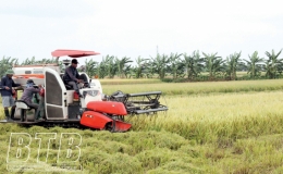 Phát triển nông nghiệp bền vững theo hướng hữu cơ