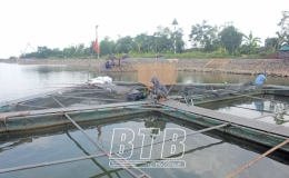 Tăng cường chống rét cho động vật thủy sản
