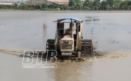 Thời gian đổ ải tập trung từ 26/1 – 02/2/2021