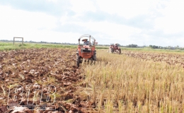 Tiền Hải: Đẩy mạnh sản xuất lúa hàng hóa