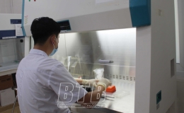 Tình hình dịch Covid-19 đến ngày 20/12