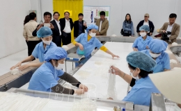 Trình diễn kỹ thuật sản xuất bánh phở khô, bánh đa khô tự động