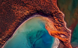 Vẻ đẹp của vịnh Cá Mập nổi tiếng ở Australia