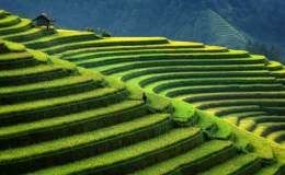 Việt Nam trong top điểm đến tốt nhất để du lịch cá nhân