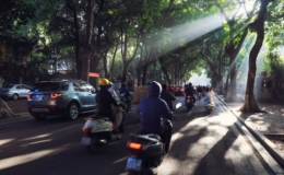 Bắc Bộ sáng sớm có sương mù, trưa chiều trời nắng.