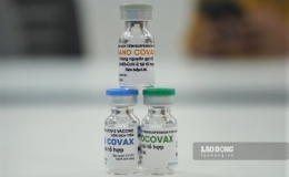 Cần tiếp tục bổ sung dữ liệu người tiêm Nano Covax mắc Covid-19