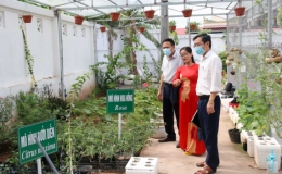 Cô giáo Vũ Thị Mai truyền lửa đam mê, ươm mầm sáng tạo