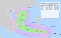 Công điện khẩn số 17 của Trưởng ban Chỉ huy Phòng, chống thiên tai và Tìm kiếm cứu nạn tỉnh Thái Bình