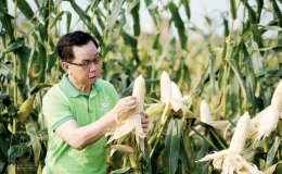 ThaiBinh Seed: Đổi mới để phát triển