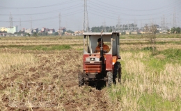 Hỗ trợ 65.000 đồng/ha kinh phí mua thuốc diệt chuột