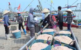 Kỳ 1: Xây dựng kinh tế biển trở thành trọng điểm kinh tế của tỉnh