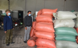 Làm giàu từ tích tụ ruộng đất