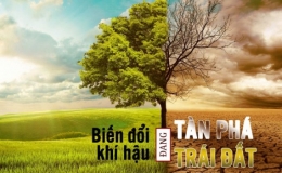Những sự thật kinh hoàng về biến đổi khí hậu