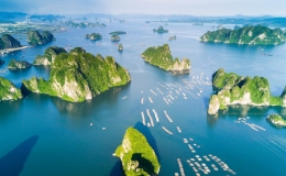 Quảng Ninh giảm 50% phí tham quan các điểm du lịch nổi tiếng