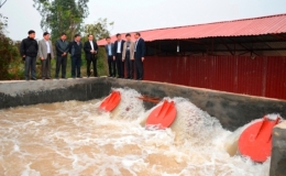 Sẽ có 3 đợt lấy nước phục vụ gieo cấy lúa vụ Đông Xuân 2021-2022