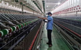 Thành phố: Thu ngân sách nhà nước vượt 15,1%   