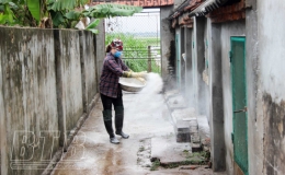 Tiền Hải: Chủ động phòng bệnh dịch tả lợn châu Phi