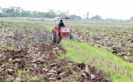 Tiền Hải: Đẩy nhanh cày lật đất, làm thủy lợi vụ xuân