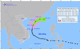 Tin bão khẩn cấp (Cơn bão số 9)