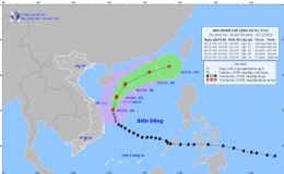 Tin bão khẩn cấp (Cơn bão số 9)