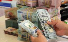World Bank hỗ trợ Việt Nam hơn 221 triệu USD