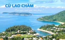Culaochamtourist tổ chức tour Cù Lao Chàm được du khách Thái Bình đánh giá cao