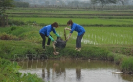 Hành động vì môi trường