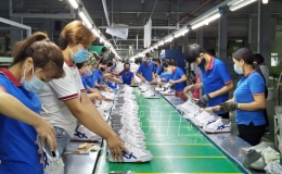 Thành phố: Giá trị xuất khẩu tăng 12,01%