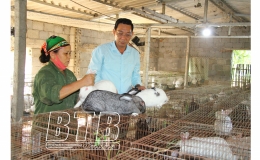 Bắt đất khó cho “quả ngọt”