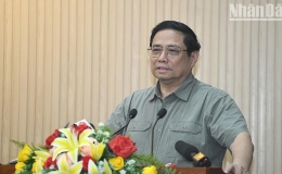 Cà Mau chú trọng phát triển dựa vào đổi mới sáng tạo, chuyển đổi xanh và năng lượng tái tạo