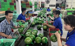 Cả nước có hơn 10.300 sản phẩm OCOP đạt 3 sao trở lên