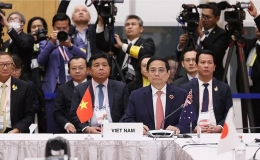 Chung ý chí, quyết tâm cao, hành động quyết liệt hướng tới một châu Á phát thải ròng bằng 0