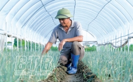Đáp ứng kỳ vọng của nông dân