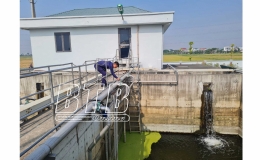 Đẩy mạnh thanh tra, xử lý nghiêm các vi phạm về bảo vệ môi trường
