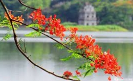 Dự báo, cảnh báo xu thế thời tiết trên đất liền trong 10 ngày