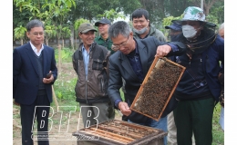Hội nghị đầu bờ, tham quan cơ sở chế biến sản phẩm ong mật