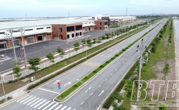 Nghị quyết số 53/NQ-HĐND phê duyệt chuyển mục đích sử dụng đất trồng lúa để thực hiện các dự án trên địa bàn tỉnh Thái Bình