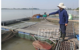 Phát triển kinh tế VAC ở Kiến Xương
