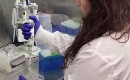 Robot sinh học từ tế bào người