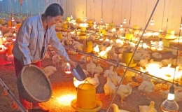 Thủ tướng yêu cầu các bộ ngành, địa phương chủ động phòng, chống rét đậm, rét hại kéo dài