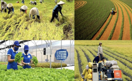 Ban hành Bộ chỉ tiêu giám sát, đánh giá về nông nghiệp, nông dân và nông thôn