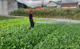 Điện Biên: Đổi thay trên quê hương xã nông thôn mới nâng cao