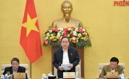 Khẩn trương rà soát các luật về tổ chức bộ máy trình Ủy ban Thường vụ Quốc hội, Quốc hội