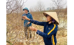 Mang mùa xuân đến mọi nhà